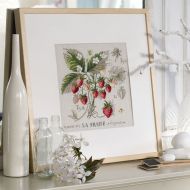 Fraises HH217 / Земляника (клубника)
