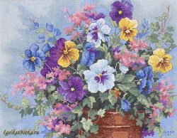 Pansy Profusion 39019 / Анюткины глазки