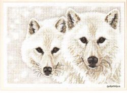 Arctic Pair 35168 / Арктические Песцы