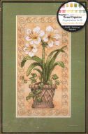 Amaryllis in Bloom 6912 / Амариллисы в Цвету